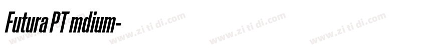 Futura PT mdium字体转换